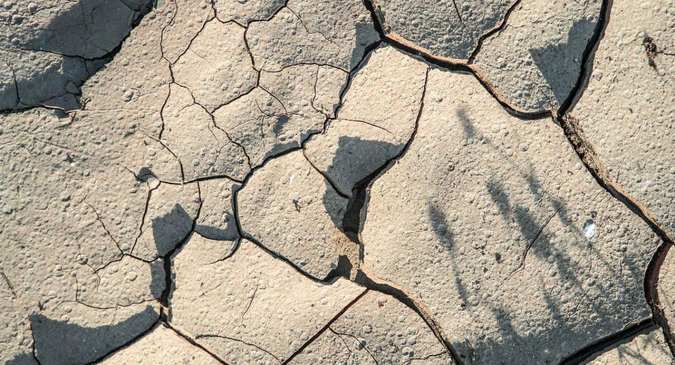 Climate change desert environment