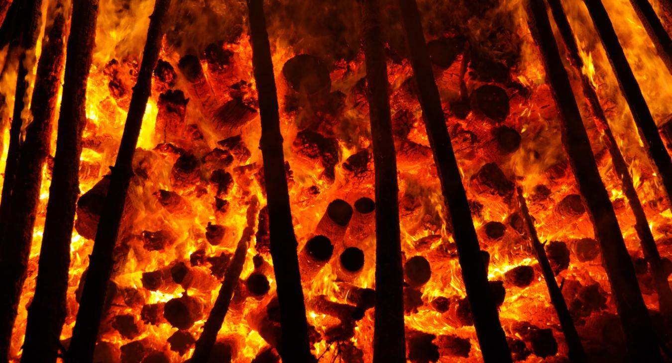 climate change forest fire
