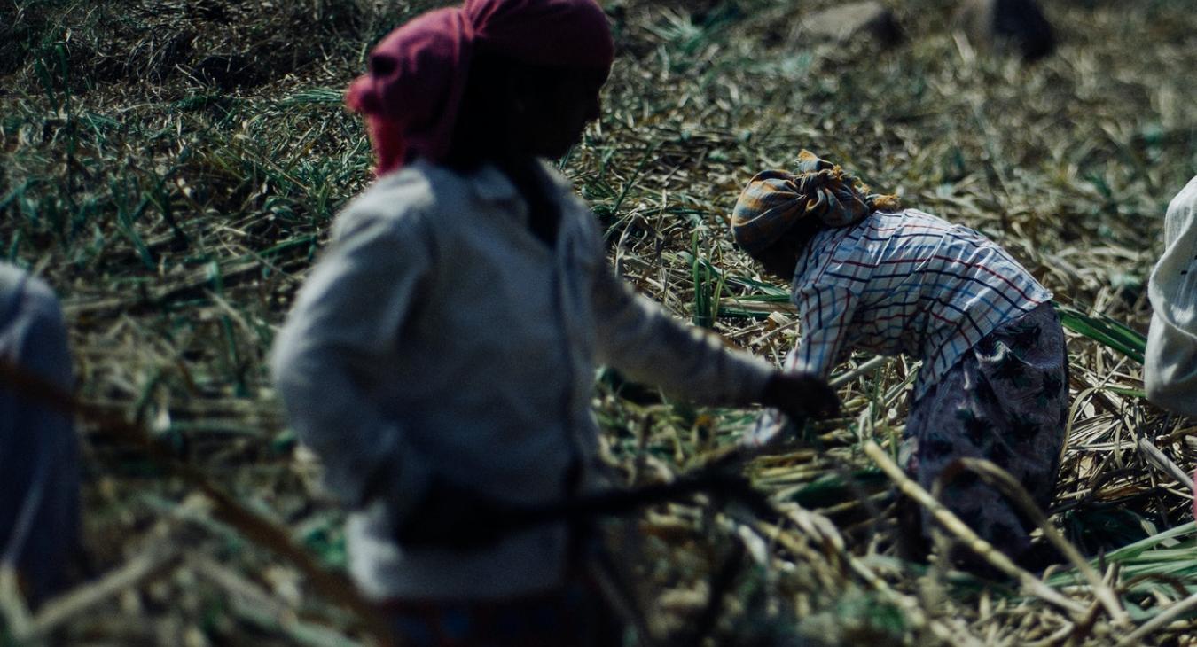farming women