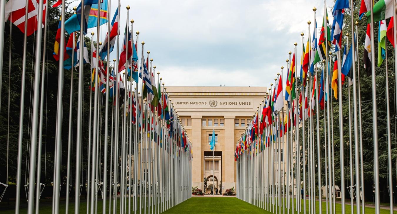 United nations flags
