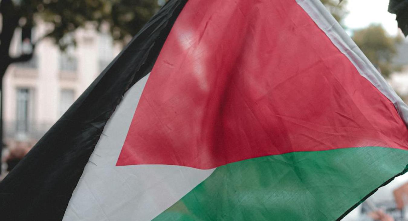 Person with Palestinian flag on protest