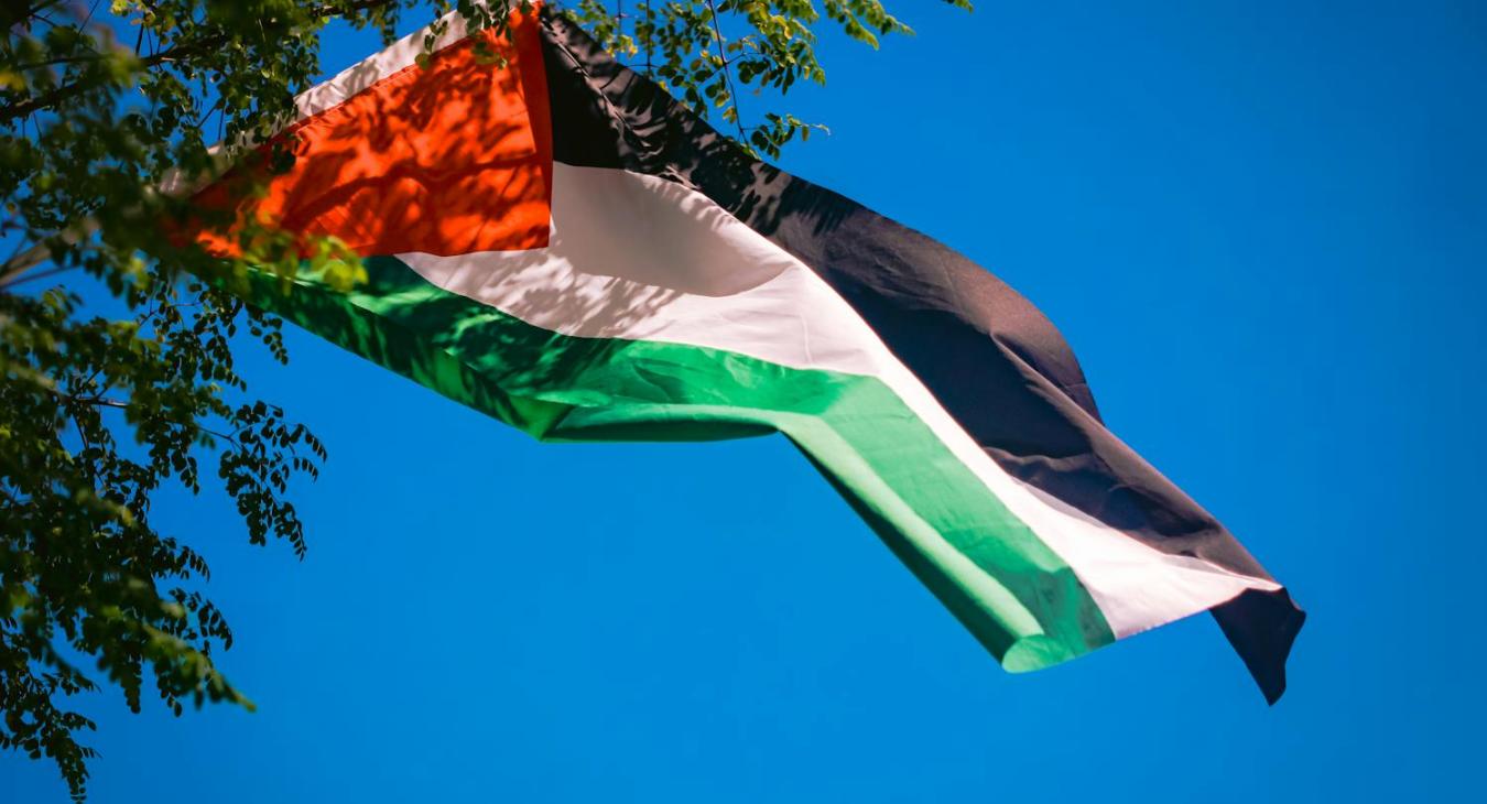 Palestine flag 